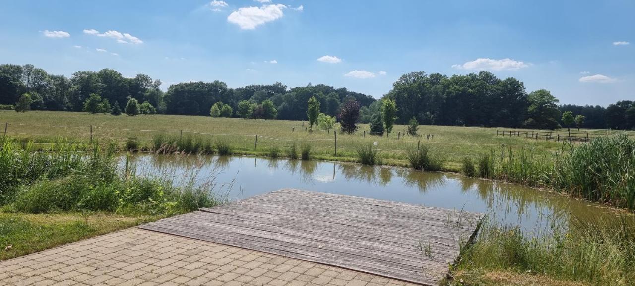 Ranc Orlice Villa Trebechovice pod Orebem Exterior photo