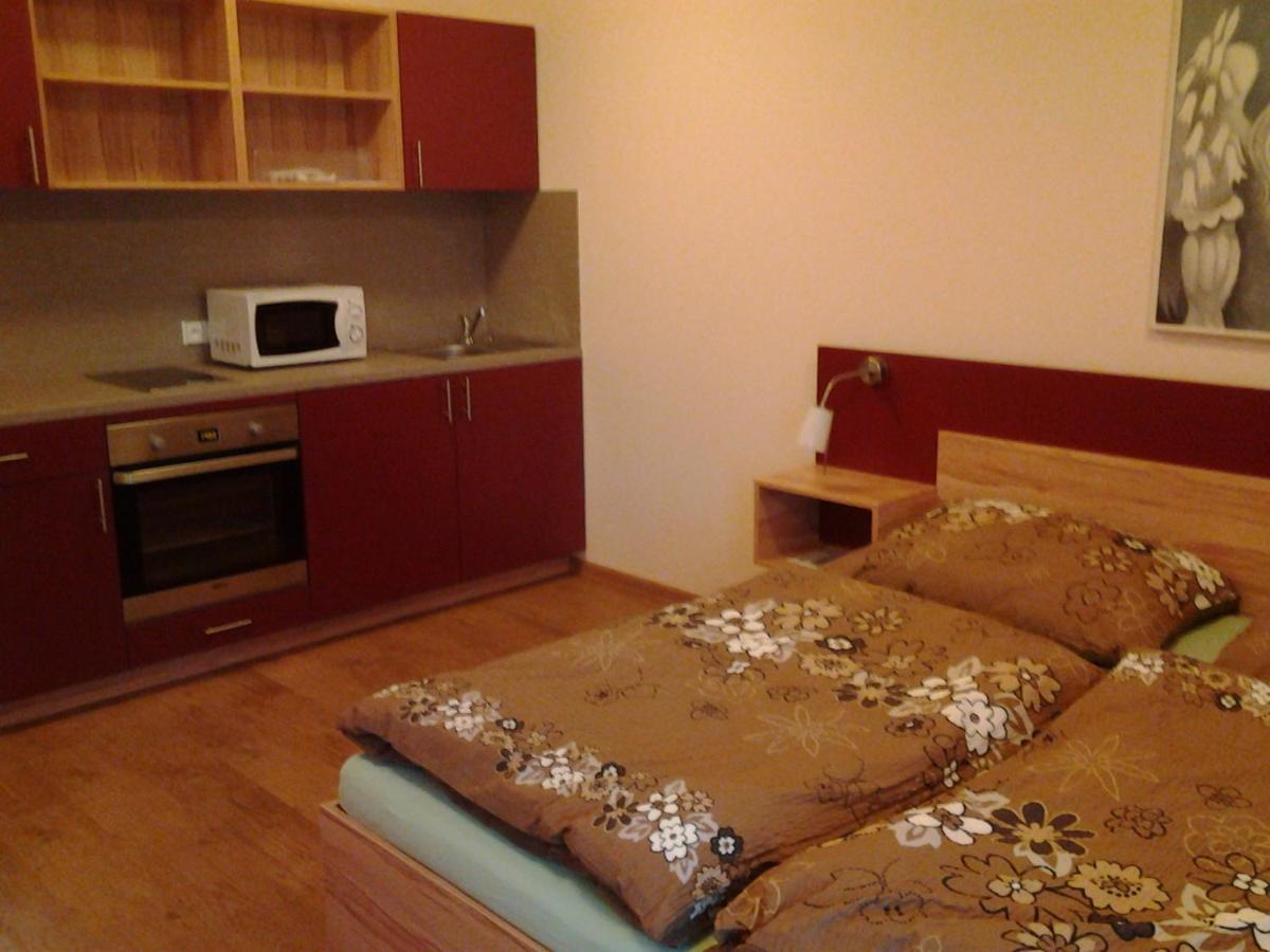 Ranc Orlice Villa Trebechovice pod Orebem Exterior photo