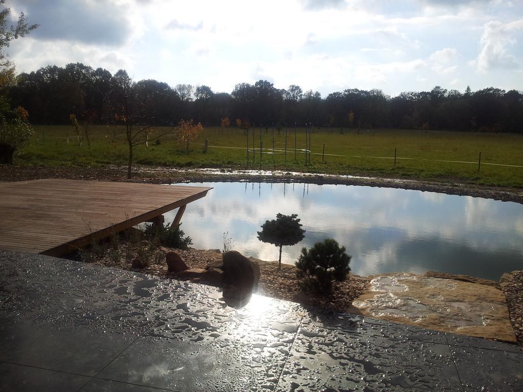 Ranc Orlice Villa Trebechovice pod Orebem Exterior photo